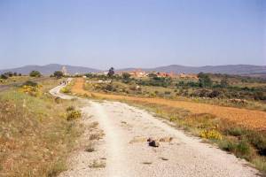 Santa Catalina de Somoza