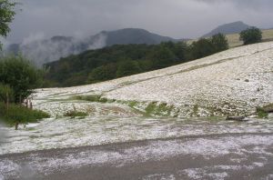 Hagel