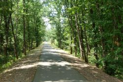 De voormalige spoorlijn